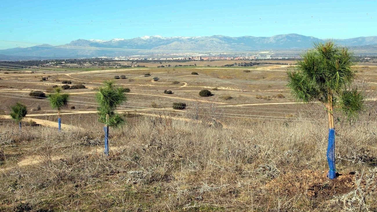 Terrenos del antiguo vertedero de Alcobendas en el que se va a desarrollar un parque forestal