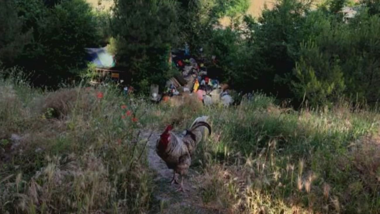 Vecinos de Entrevías denuncian el abandono del Parque La Viña