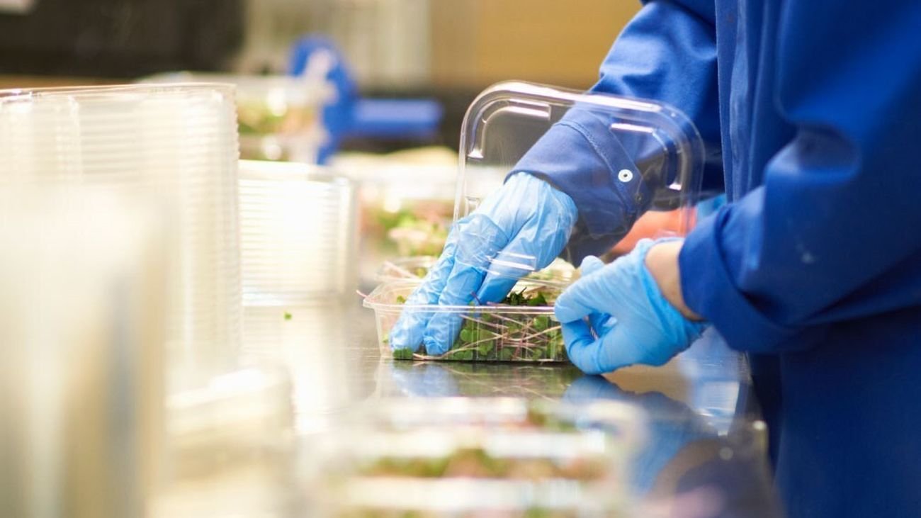 Envasado de alimentos
