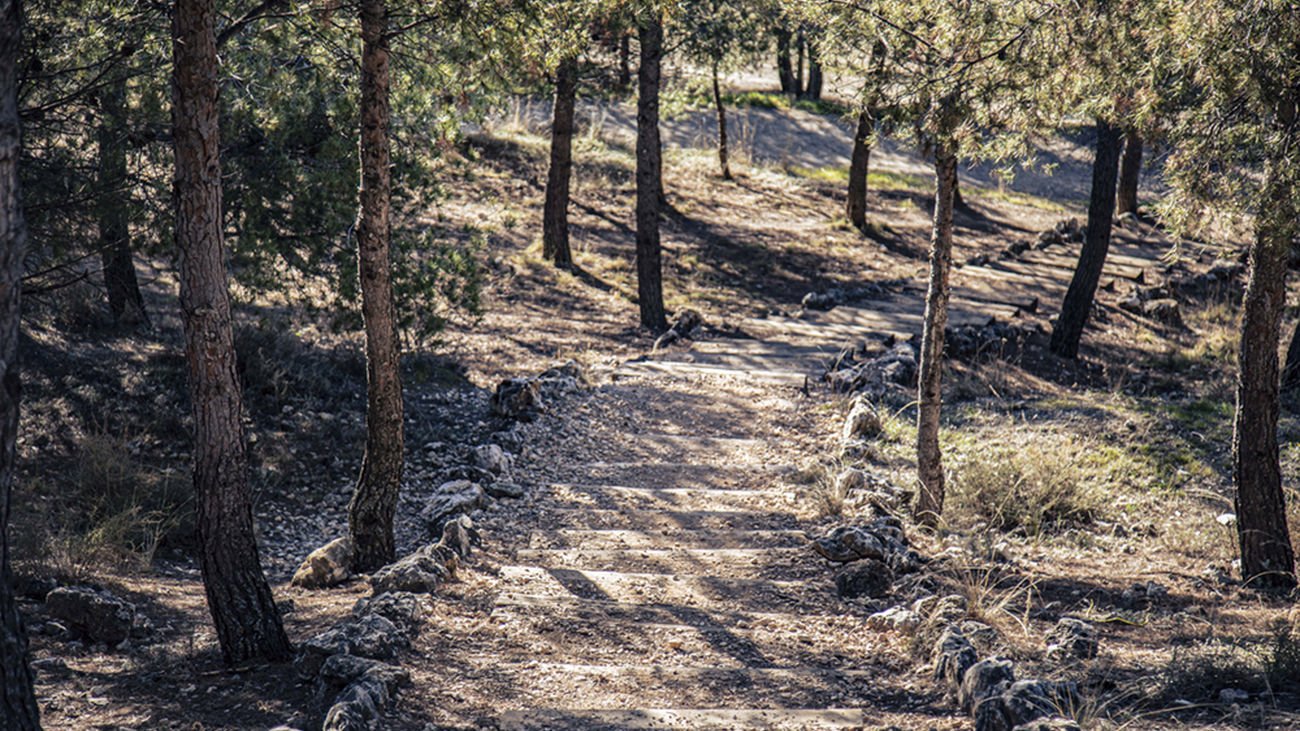 Parque Mazalmadrit