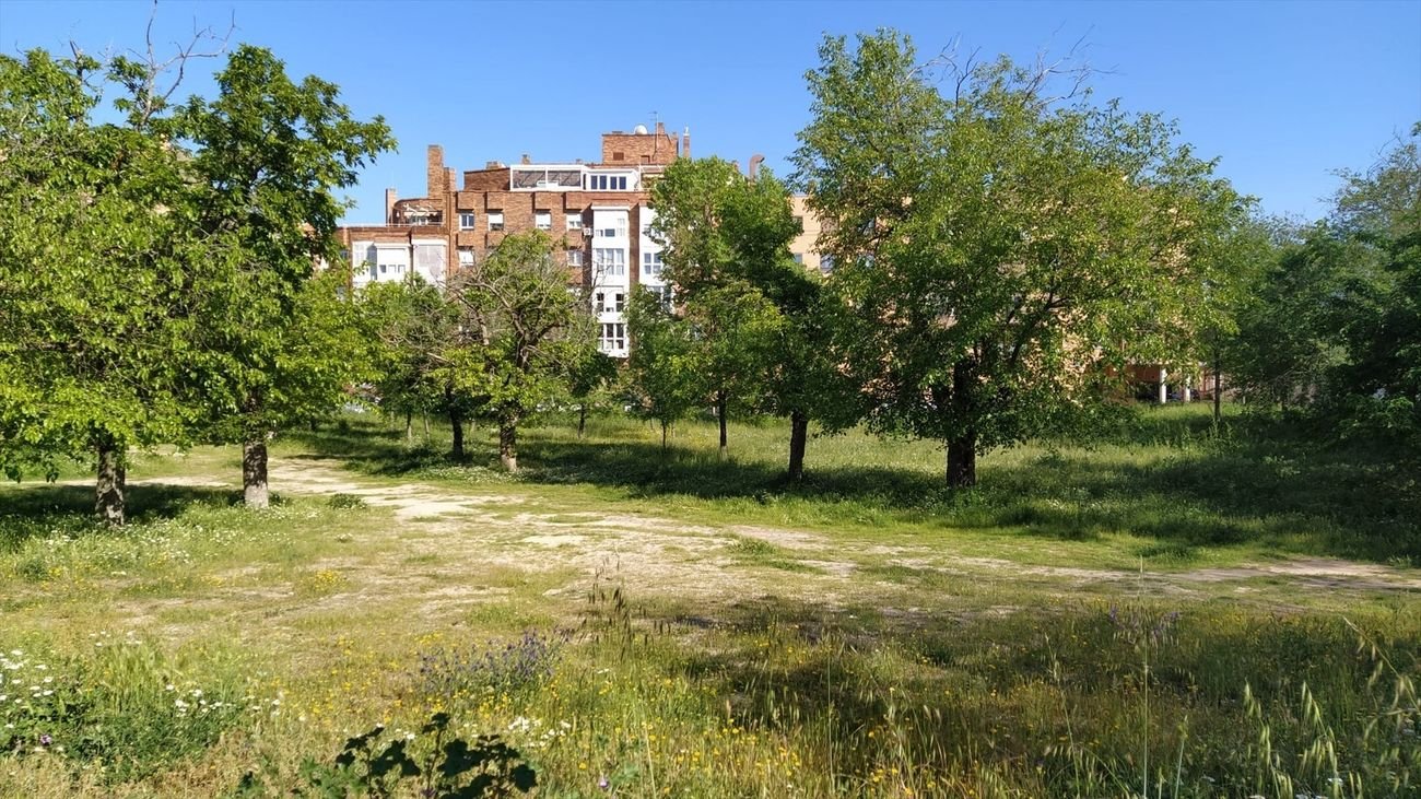 Parque de las Moreras en Colonia Jardín, Campamento, Latina
